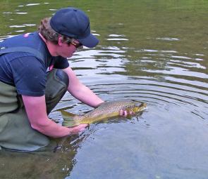 Releasing a nice brown that was caught after being sighted chasing minnow over a large mud flat.